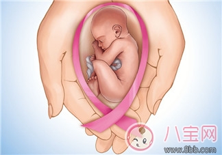 快速怀孕|备孕首先应该了解什么？宫颈黏液和排卵期是什么？