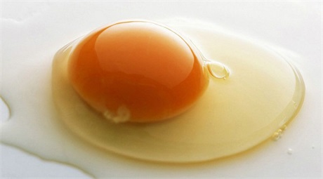 男人|备孕期间男人吃什么好备孕男人吃什么提高精子质量