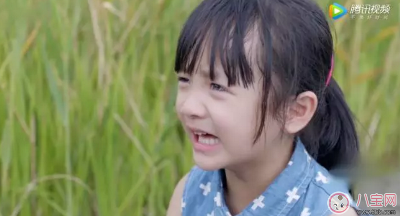 电视剧|《美味奇缘》看了想睡觉！《美味奇缘》故事主线是什么？