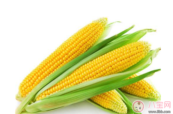 早餐|孩子早餐适合吃什么发酵类食品推荐