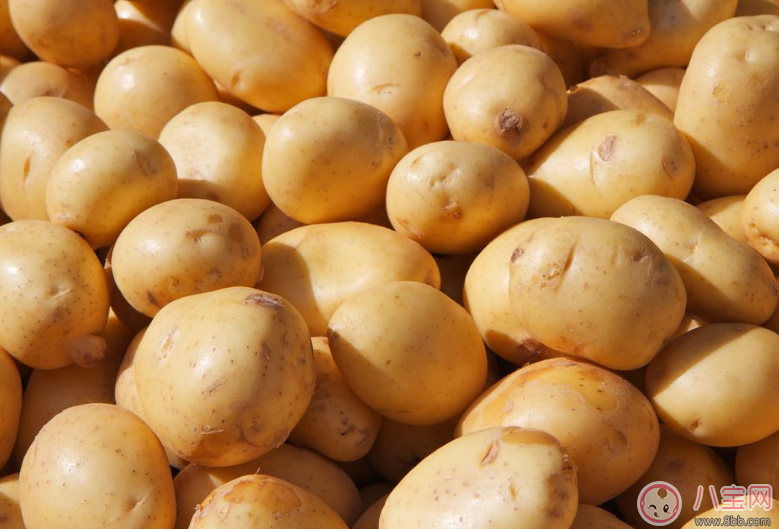 早餐|孩子早餐适合吃什么发酵类食品推荐