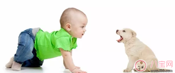 爬行|宝宝爬行怎么教 教会宝宝爬行小技巧