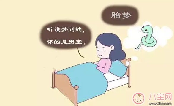 胎梦|做梦梦到什么蛇是男孩吗做梦梦到什么生男孩