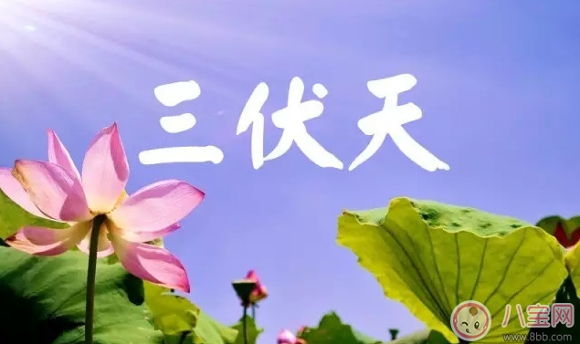 三伏|2017三伏天是什么时候 2017三伏天时间表