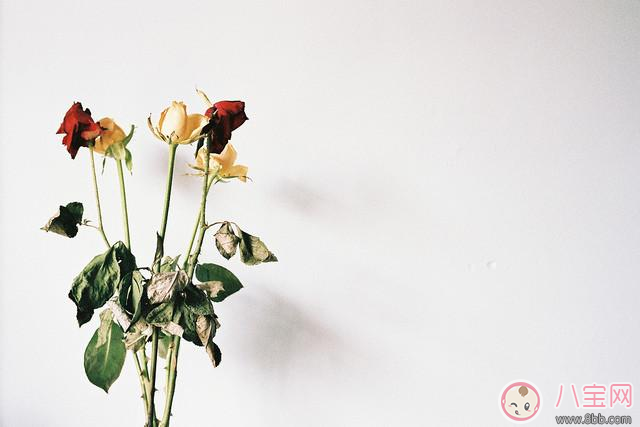 黄体酮|怀孕孕酮低 莫方,看看这些来调整