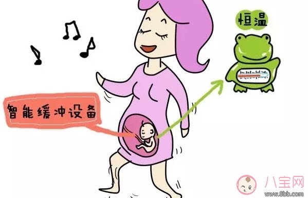 怀孕|为什么有的孕妇不显怀 怀孕不显怀是怎么回事