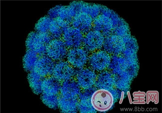 夏季疾病|2017肠病毒高发期 这样做躲过易发病