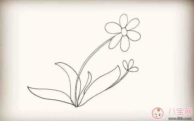 简笔画|儿童简笔画太阳花 太阳花图片简笔画步骤