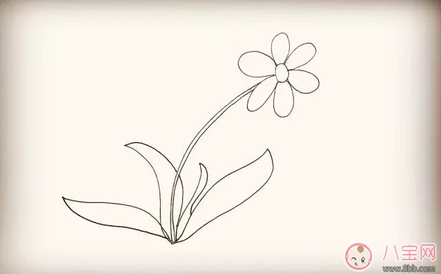 简笔画|儿童简笔画太阳花 太阳花图片简笔画步骤