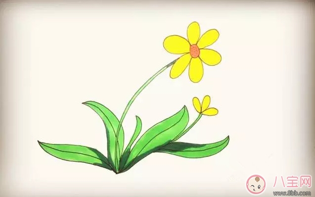 简笔画|儿童简笔画太阳花 太阳花图片简笔画步骤