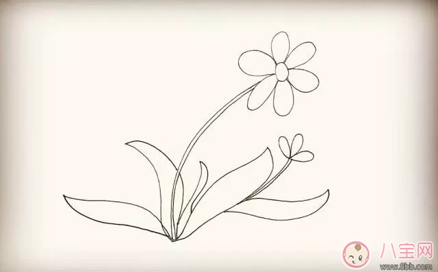 简笔画|儿童简笔画太阳花 太阳花图片简笔画步骤