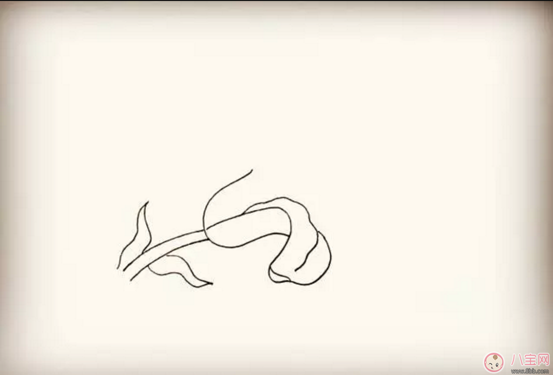 画百合花|怎么教宝宝花百合花 百合花简笔画