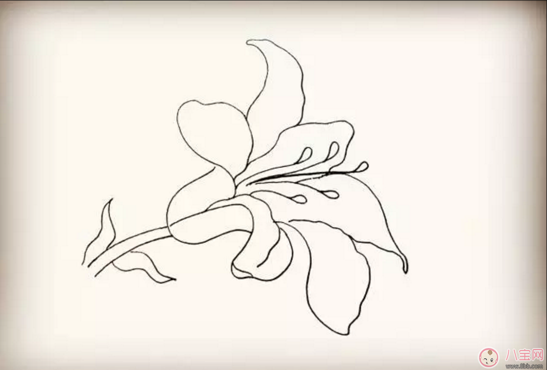 画百合花|怎么教宝宝花百合花 百合花简笔画