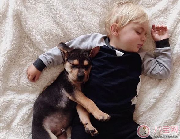 午睡|夏天宝宝要不要午睡 小孩夏天午睡好处(有助于幼儿语言发展)