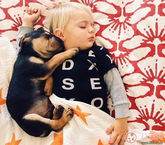 午睡|夏天宝宝要不要午睡 小孩夏天午睡好处(有助于幼儿语言发展)