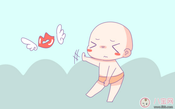 季节|宝宝那个季节出生比较好 初夏秋冬哪个季节出生的宝宝好