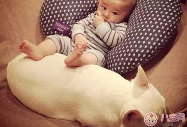 体重|刚出生的婴儿多少斤正常 宝宝的体重和智商有关吗(越重智商越高)