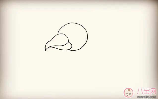 简笔画|宝宝简笔画简单画出大公鸡