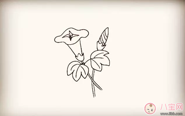 牵牛花|儿童简笔画 简笔画牵牛花喇叭花