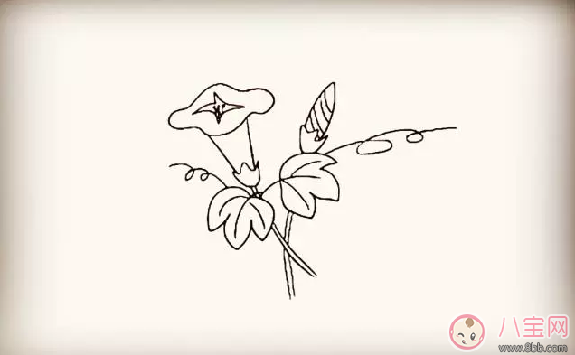 牵牛花|儿童简笔画 简笔画牵牛花喇叭花