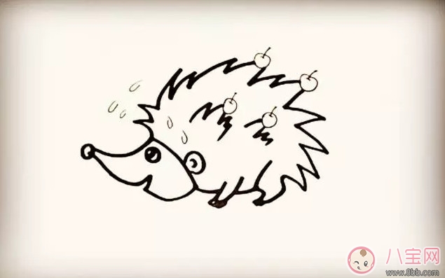简笔画|儿童小动物简笔画 森林里的小刺猬简笔画