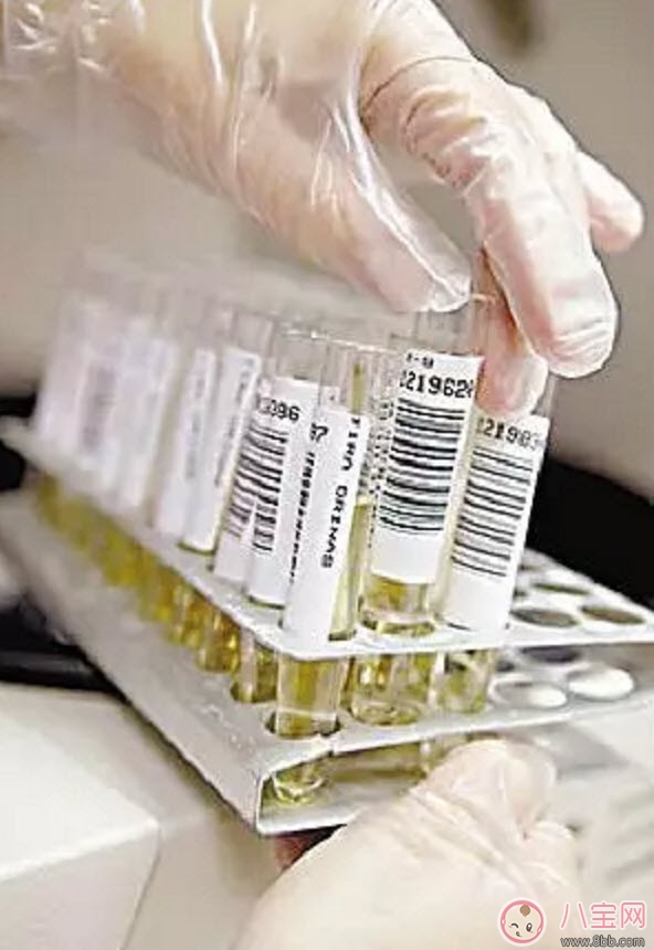 常识|进行验孕前应该知道哪些常识性问题 可能你还不知道