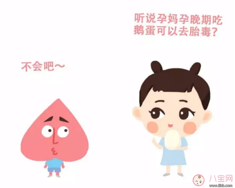 孕晚期|孕妇孕晚期吃鹅蛋排胎毒是真的吗 吃什么去胎毒