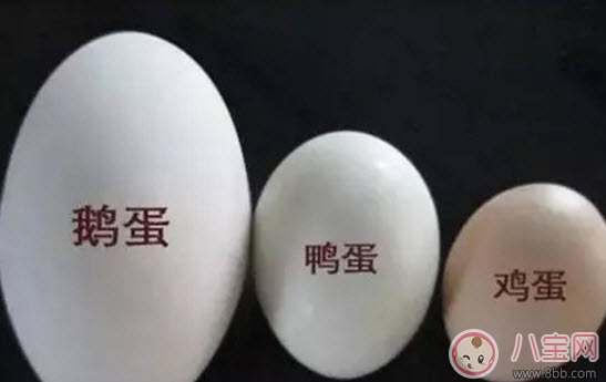 孕晚期|孕妇孕晚期吃鹅蛋排胎毒是真的吗 吃什么去胎毒