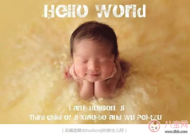 豪门|吴佩慈三胎得子 孩子他爸却还只是男朋友