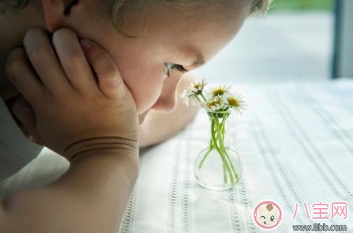 内向|孩子性格内向怎么引导 性格内向的原因是什么