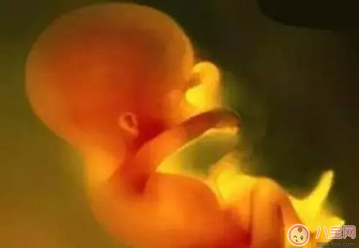 备孕|2017立秋后备孕怎么样 立秋后备孕的好处有哪些