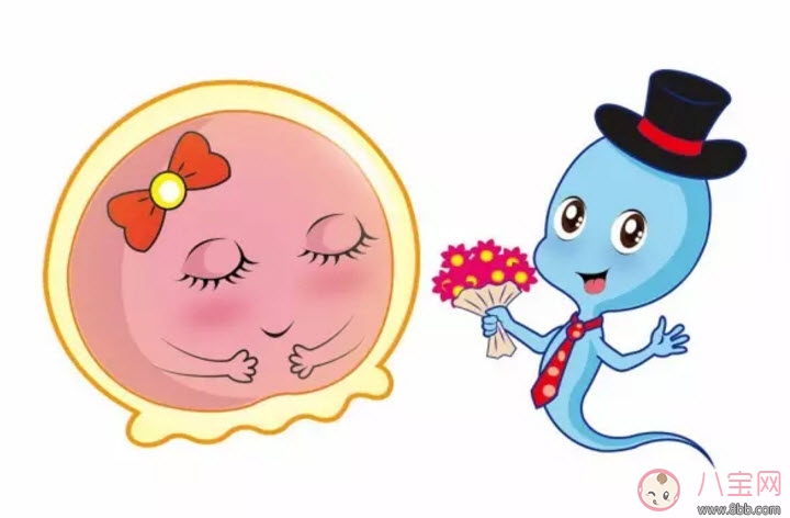 双胞胎|排卵药可以增加双胞胎几率吗 排卵药能怀双胞胎吗