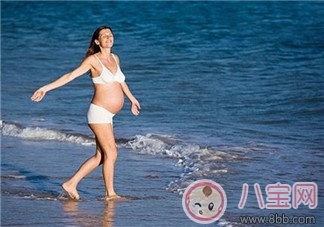 怀孕|跳水奥运冠军何姿怀孕 孕期可以游泳吗