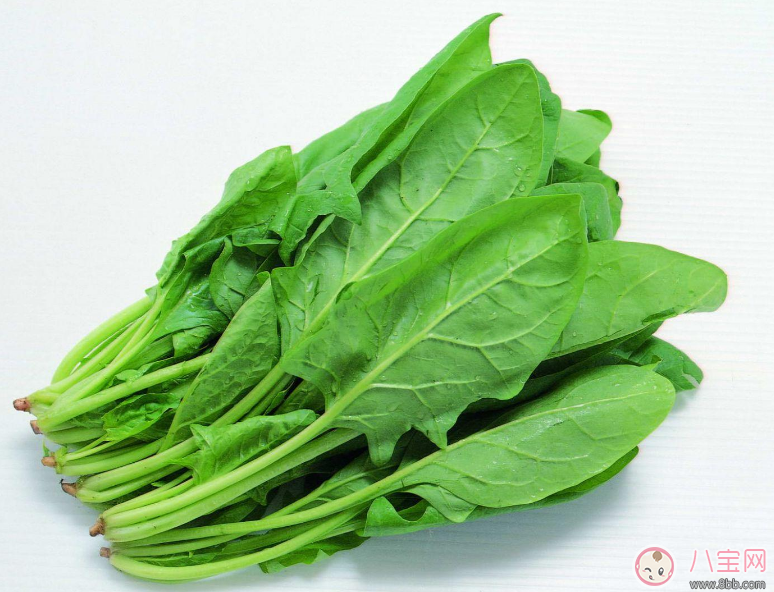 胃口不好|准妈妈胃口不好还要给宝宝吃好的 可以多吃的水果推荐