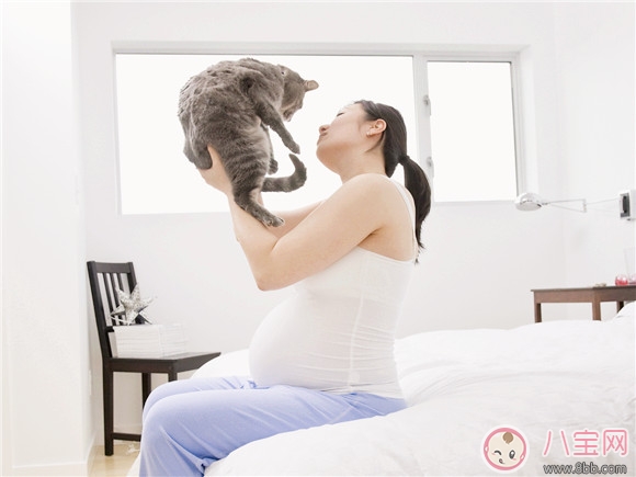 宠物|孕期家里有宠物怎么办 孕期养宠物注意事项