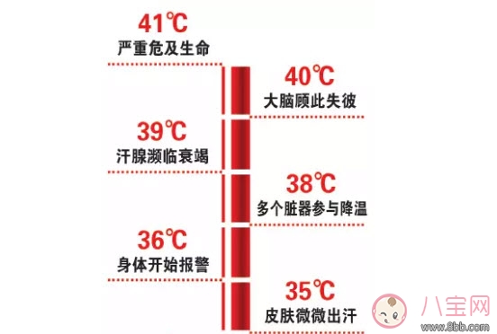 月子|三伏天坐月子拒开空调捂出伤 为什么坐月子能捂出脑损伤