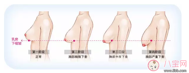 胸部下垂|母乳喂养会造成胸部下垂 错!真相其实是这样