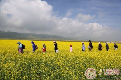 选择|暑假到了 如何为宝宝选择合适的夏令营