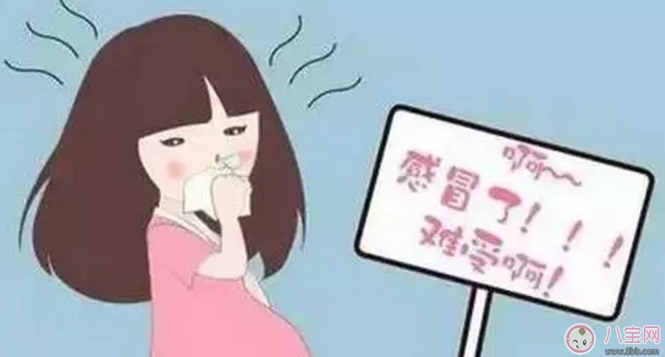 感冒|孕妇可以喝板蓝根吗 孕妇感冒咳嗽可以喝板蓝根颗粒吗