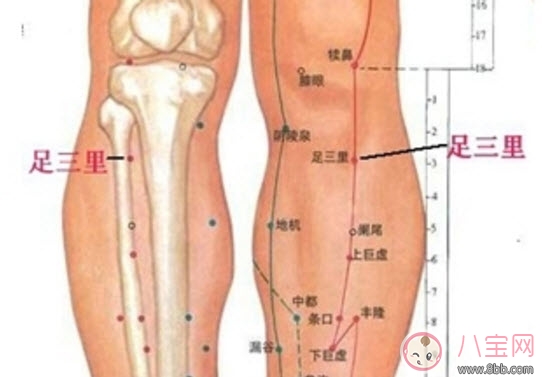 胃病|孕妇胃病犯了怎么办吃什么药 孕妇怎么立刻缓解胃痛