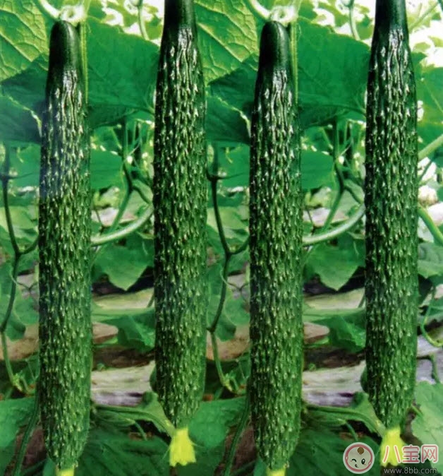 糖尿病|孕妇糖尿病对孩子有什么影响 孕妇糖尿病的症状有哪些