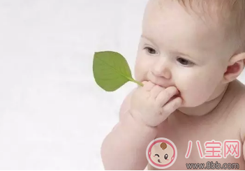 预防|2017头伏预防痱子吃对才关键 适合全家人的防痱食谱合集