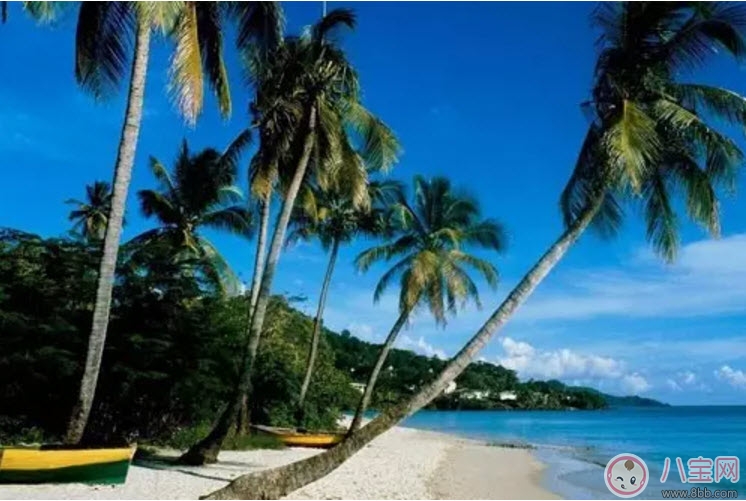 全家出游|2017七夕节全家出游攻略 带娃出行怎么做