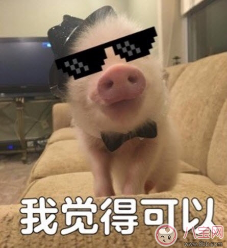 我觉得可以|我觉得不行我觉得可以是什么梗 我觉得不行我觉得可以怎么火的