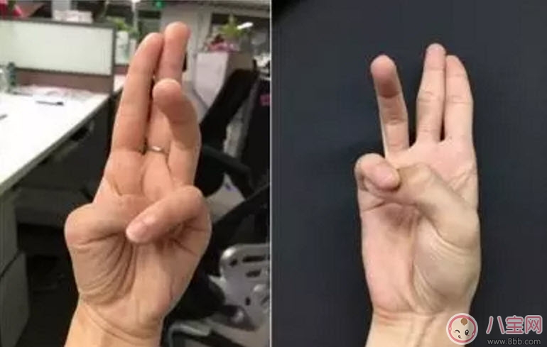 手|秋水誓怎么做 春风十里不如你秋水誓手势步骤图解