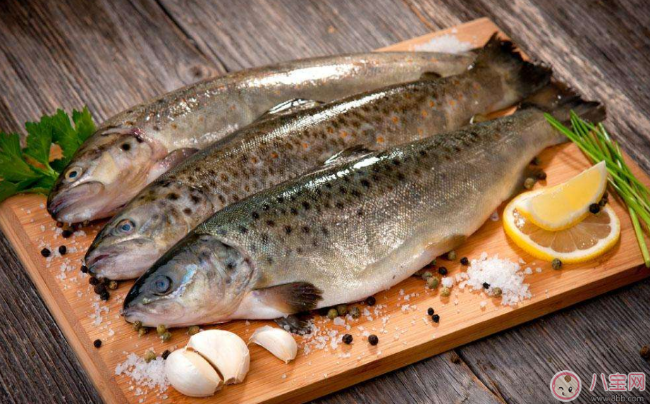 鱼|怀孕怎么吃鱼好 怀孕吃鱼推荐