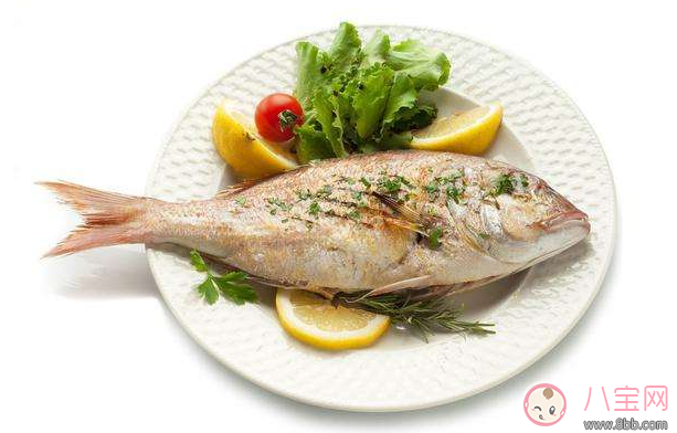 鱼|怀孕怎么吃鱼好 怀孕吃鱼推荐