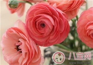 健康|产后排尿难的原因如何促进排尿