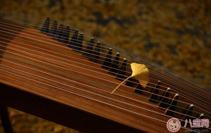 乐器|小孩子学什么乐器好 适合孩子学的乐器有哪些(孩子乐器启蒙)