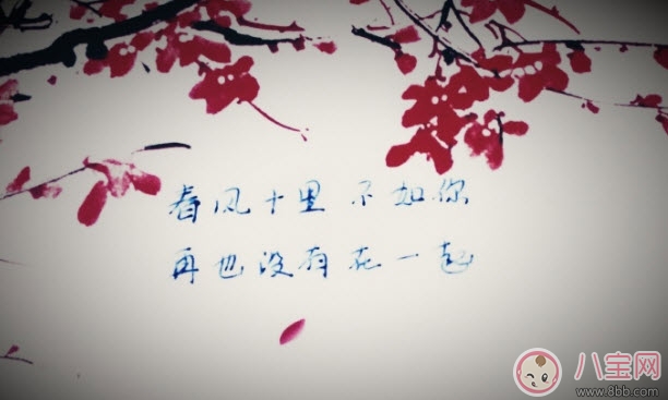 春风体挑战|春风体是什么意思 春风十里不如你春风体挑战